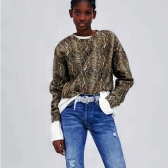 Zara Snakeskin Raw Hem Cropped Sweatshirt - Picture 2 of 9